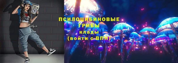 соль ск Алексин