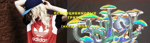 соль ск Алексин