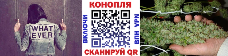 Бошки Шишки LSD WEED  даркнет клад  Иланский  магазин  наркотиков 